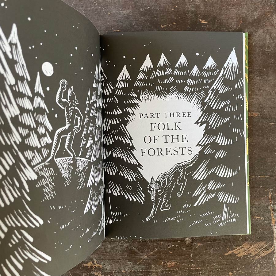 Treasury of Folklore: Woodlands & Forests by Dee Dee Chainey & Willow Winsham