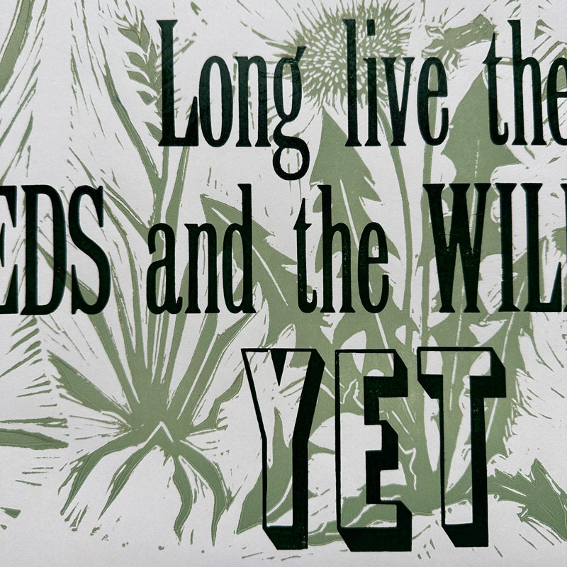 Wildness, Letterpress Poster
