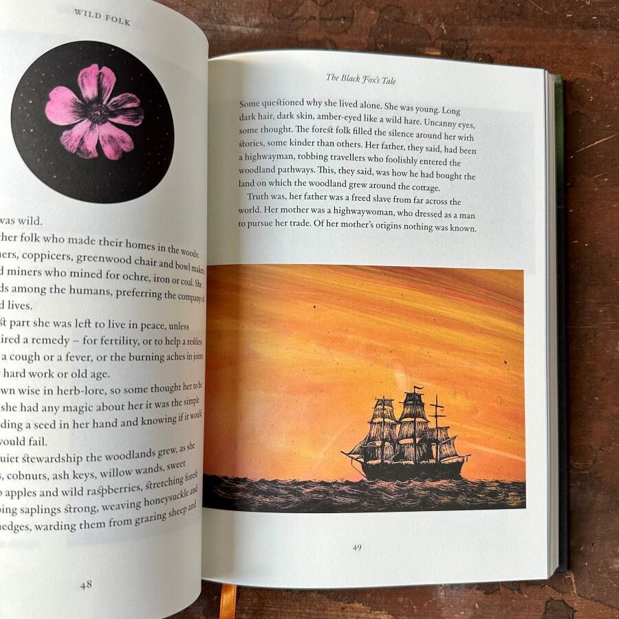 Wild Folk, Tales from the Stones by Jackie Morris & Tamsin Abbott