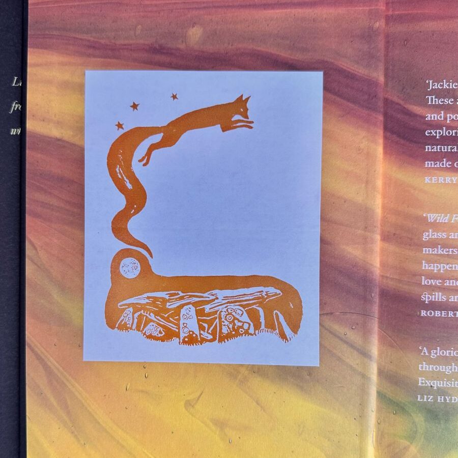 Wild Folk, Tales from the Stones by Jackie Morris & Tamsin Abbott