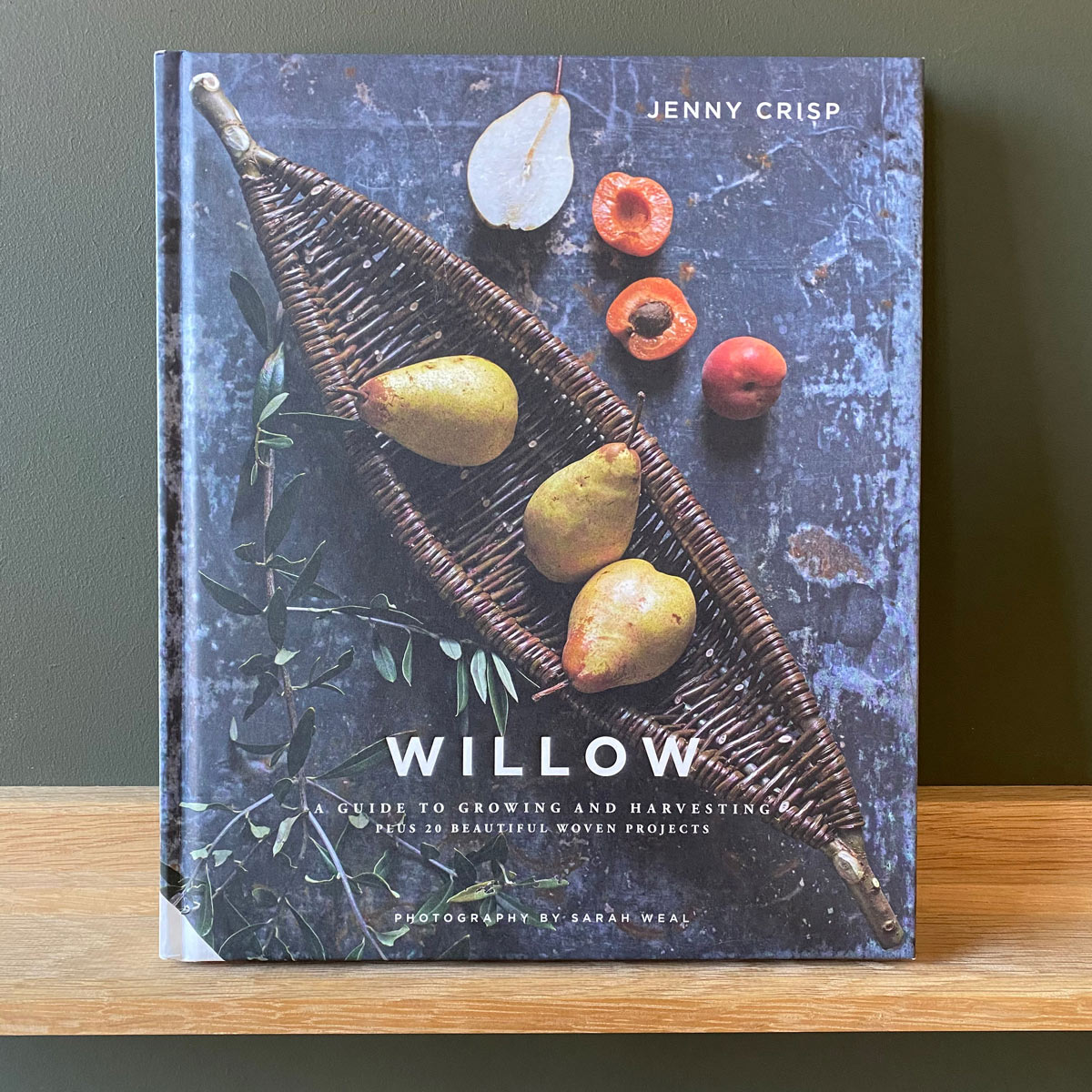 Willow by Jenny Crisp - Image 1