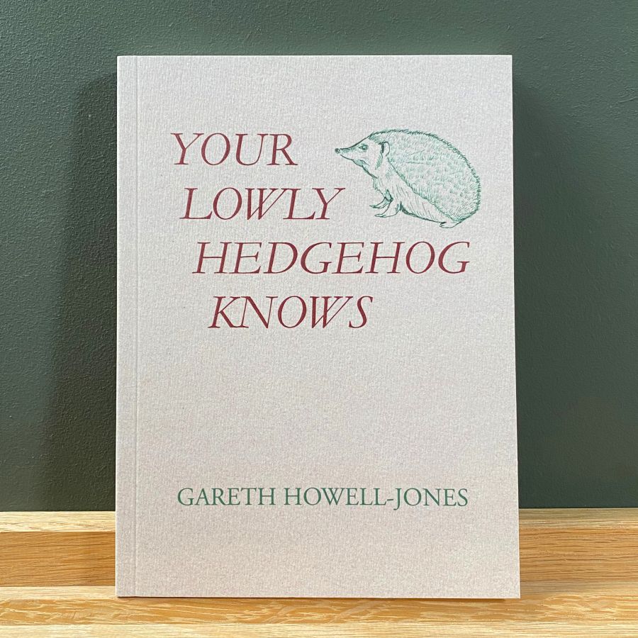 Your Lowly Hedgehog Knows by Gareth Howell-Jones