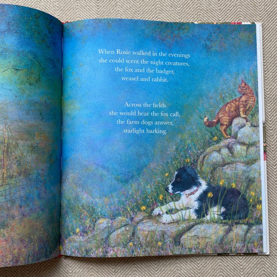 The Summer Puppy by Jackie Morris and Cathy Fisher