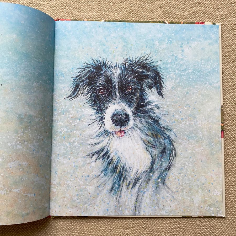 The Summer Puppy by Jackie Morris and Cathy Fisher