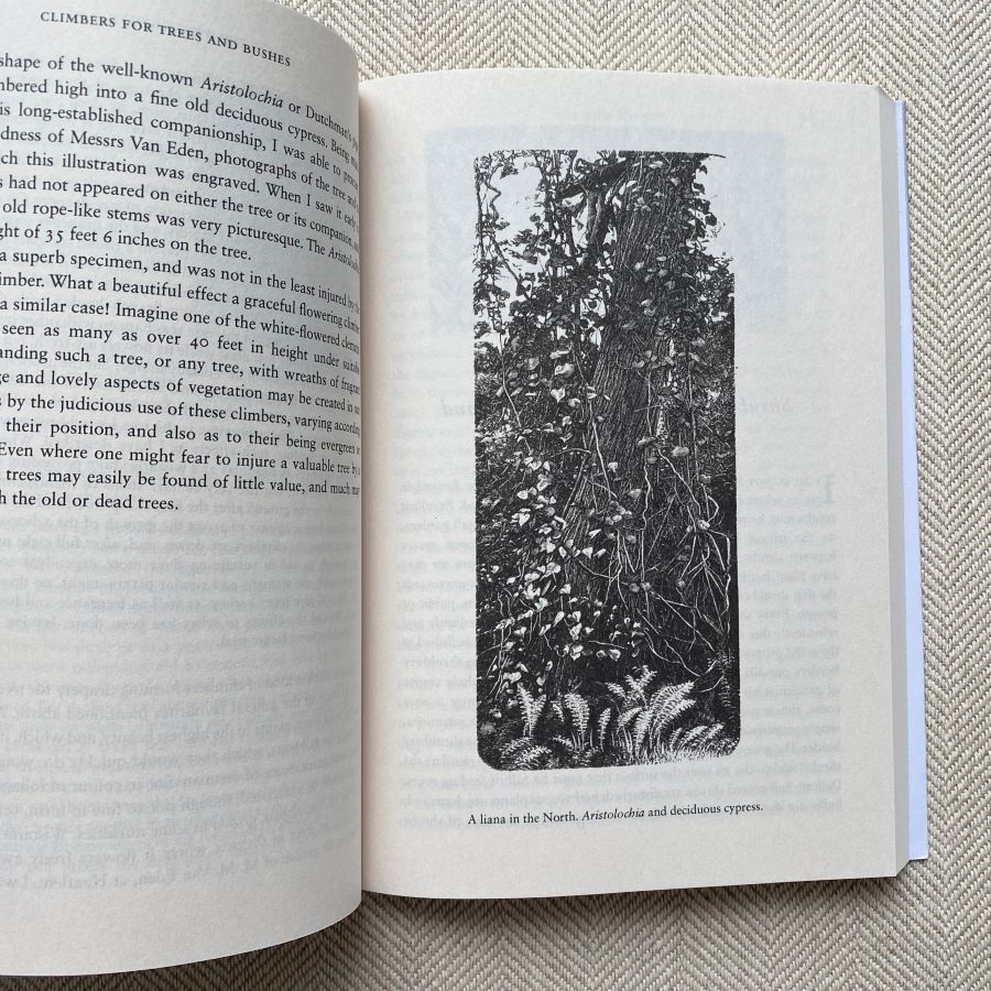 The Wild Garden by William Robinson