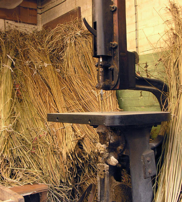 Bundles of Rushes for Seating