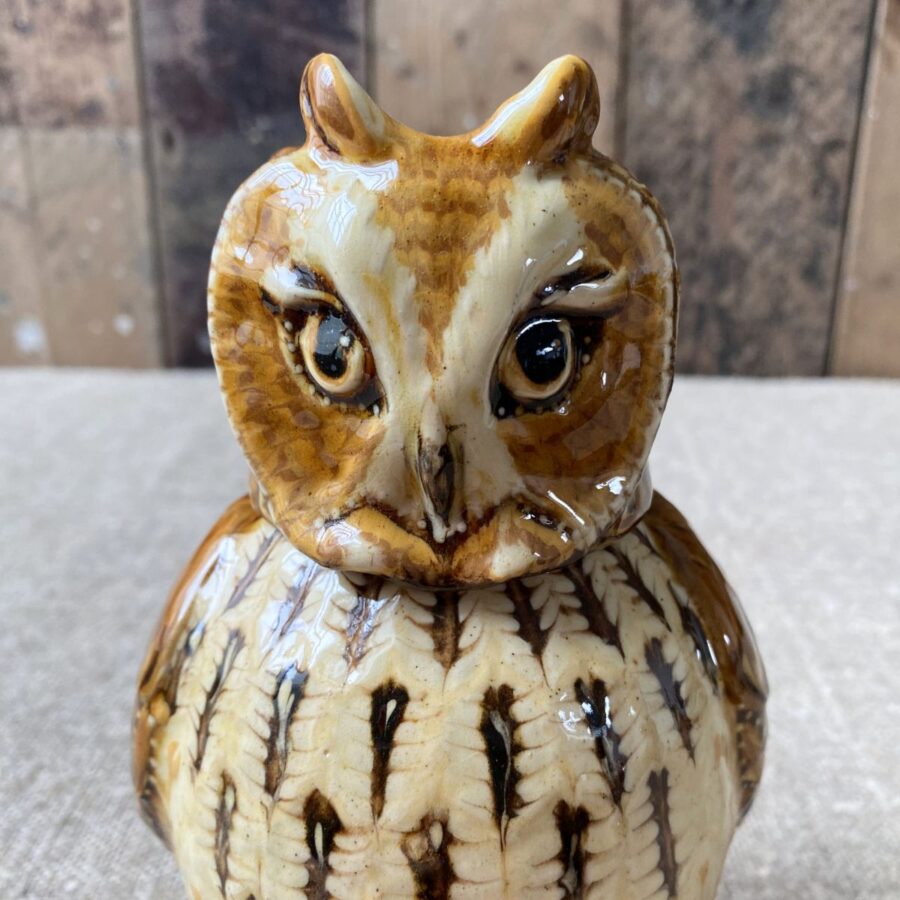 Carole Glover Small Long Eared Owl Cup & Jug CAOS6