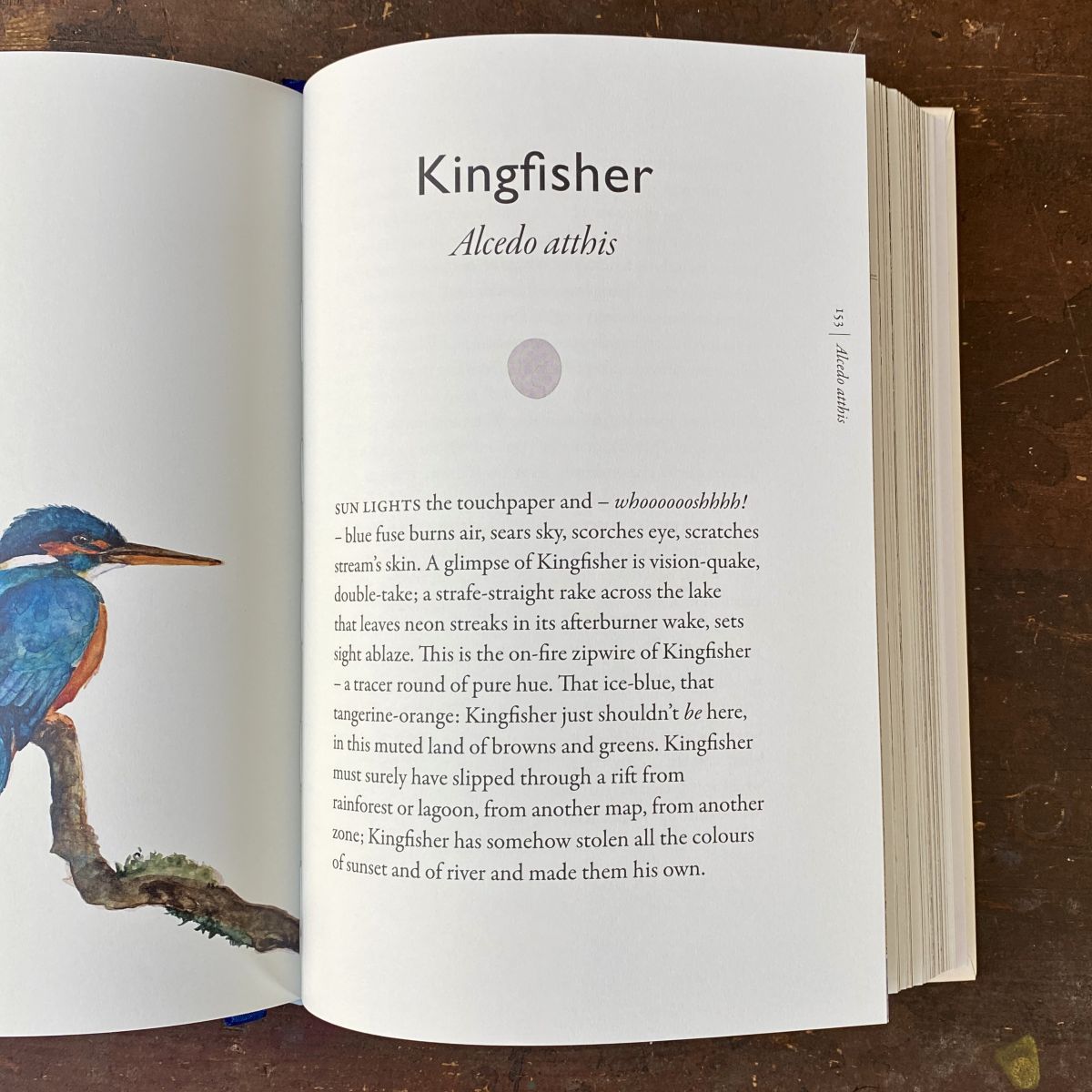Book of Birds by Jackie Morris & Robert MacFarlane