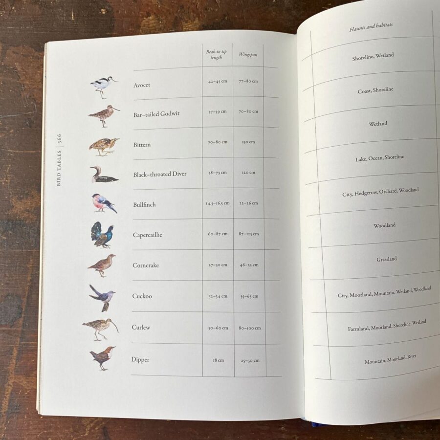 Book of Birds by Jackie Morris & Robert MacFarlane