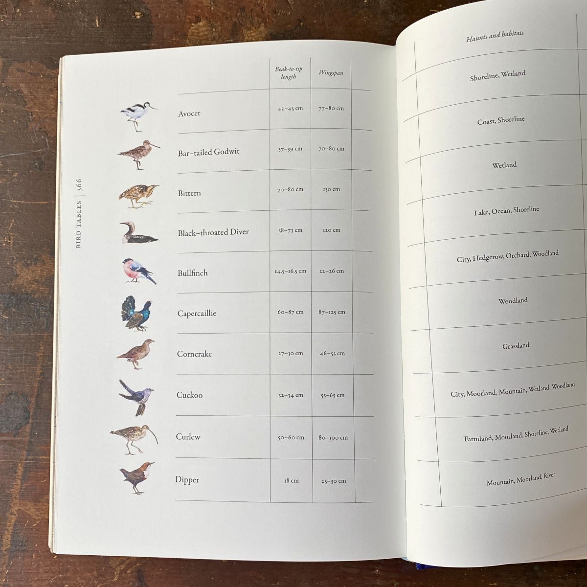 Book of Birds by Jackie Morris & Robert MacFarlane