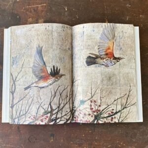 Book of Birds by Jackie Morris & Robert MacFarlane