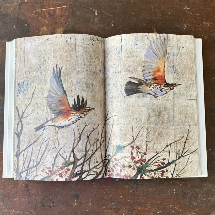 Book of Birds by Jackie Morris & Robert MacFarlane