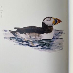 The Book of Birds by Jackie Morris & Robert MacFarlane - Image 7