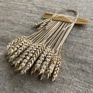 Corn Dolly - El Aruseh African Cage CWW12 - Image 3