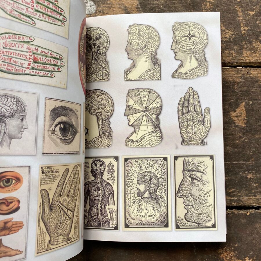 The Curious Collections Sticker Book