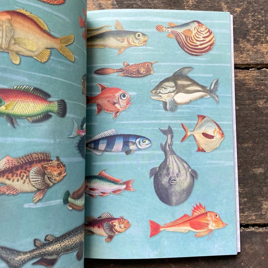 The Curious Collections Sticker Book