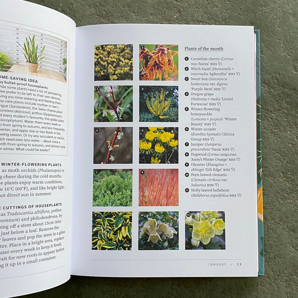 RHS Garden Almanac 2027 Book