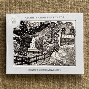 Christmas Card pack on fabric background