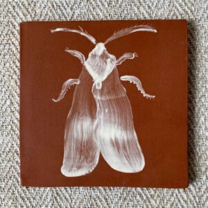 Edmund Davies Iluustrated Tile Terracotta