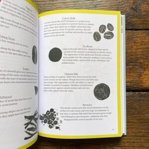 Seasonal Folklore book by Morvern Graham